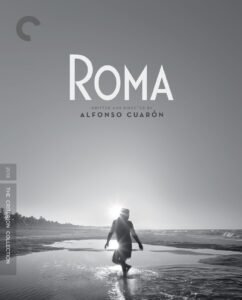 Roma (2018) Review, Breakdown & Ending Explained 2 A powerful scene from Alfonso Cuarón’s Roma (2018) showing Cleo with the children at the beach